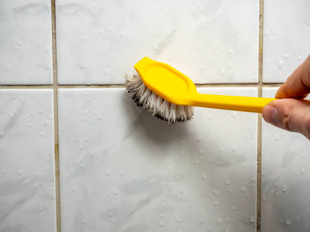 Best Attic Mold Removal  in Hudson, IL